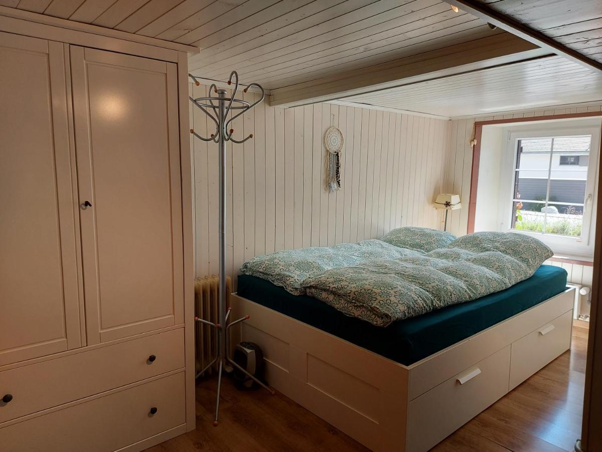 Appartement Voute En Gruyere Dans L'Intyamon Enney 外观 照片