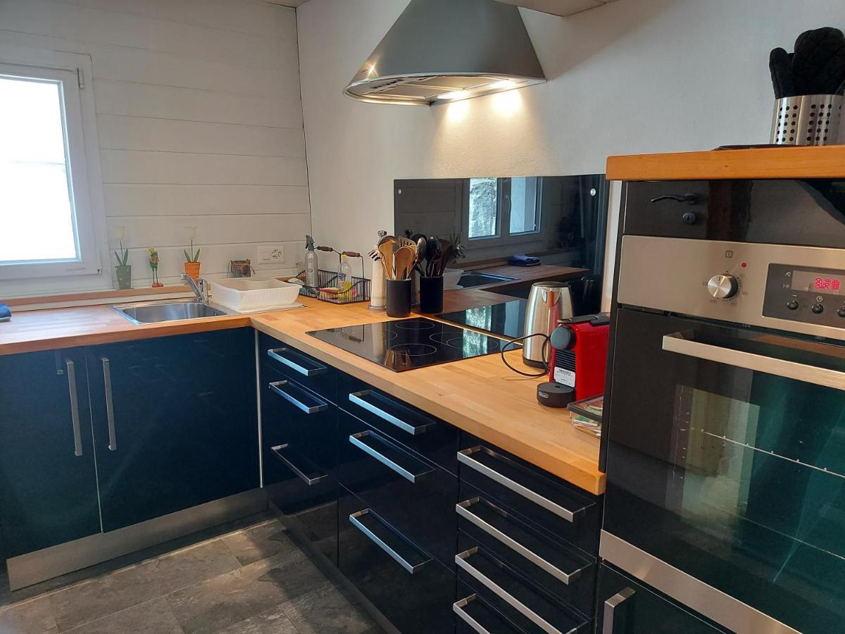 Appartement Voute En Gruyere Dans L'Intyamon Enney 外观 照片